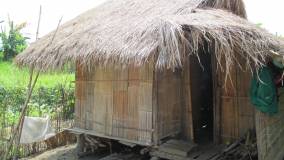 Habitations tribales